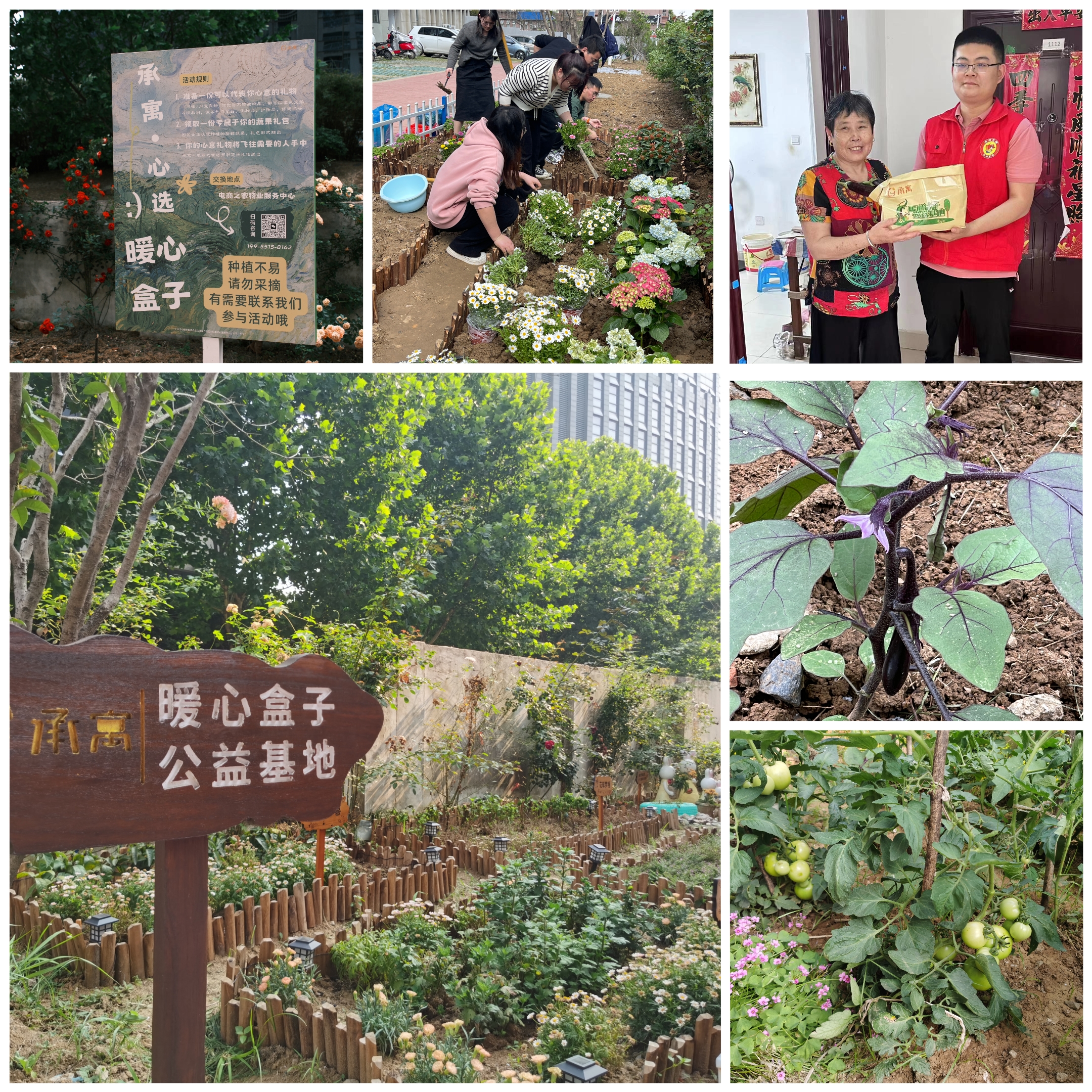 凤凰同盟平台注册·(唯一)官方网站