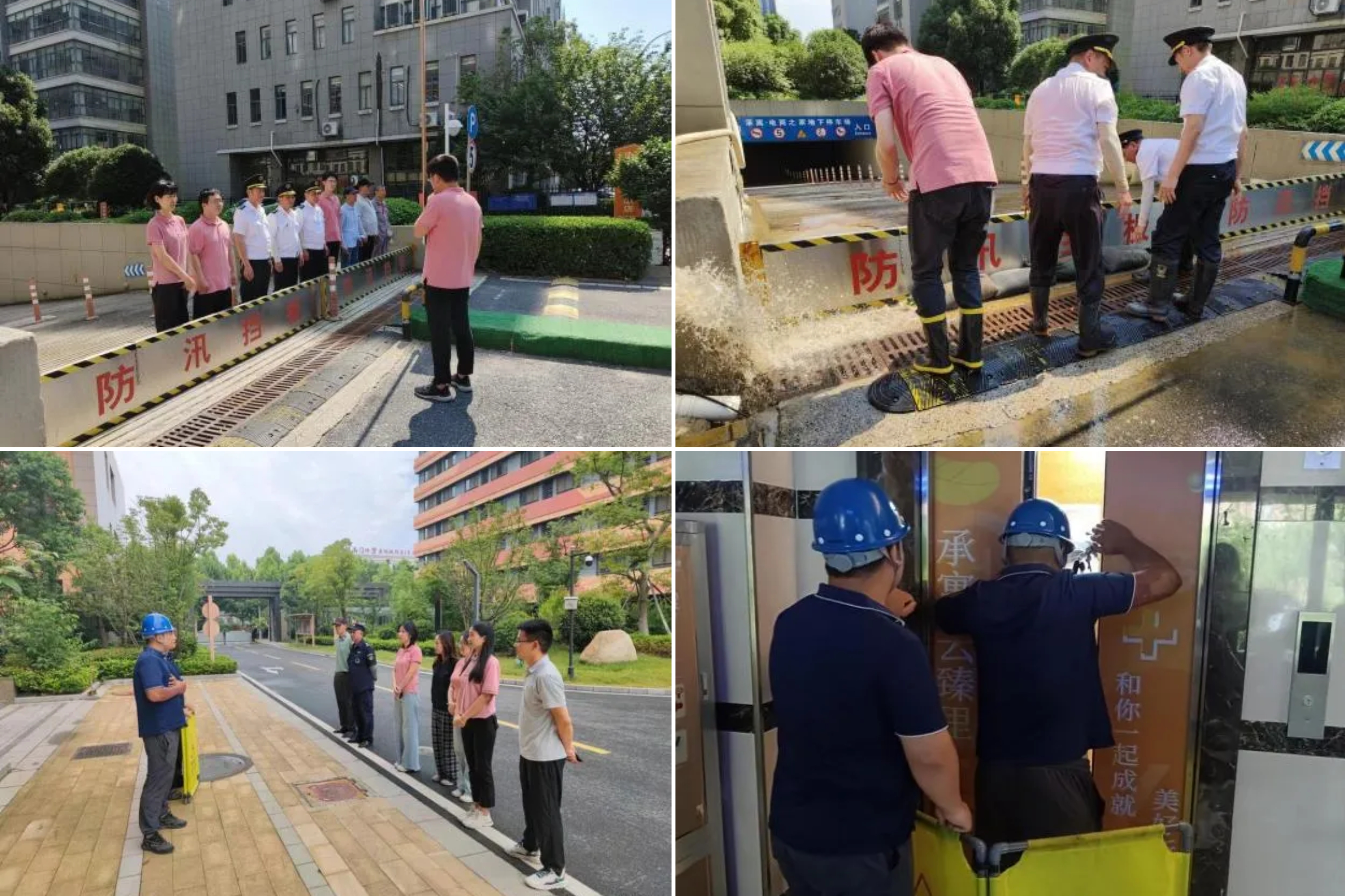 凤凰同盟平台注册·(唯一)官方网站