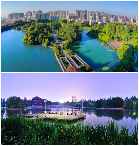 凤凰同盟平台注册·(唯一)官方网站