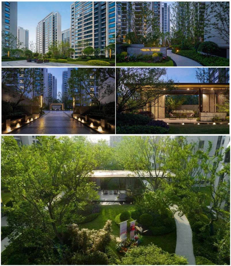 凤凰同盟平台注册·(唯一)官方网站