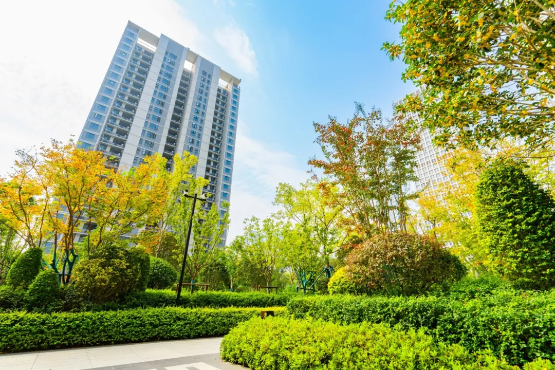 凤凰同盟平台注册·(唯一)官方网站